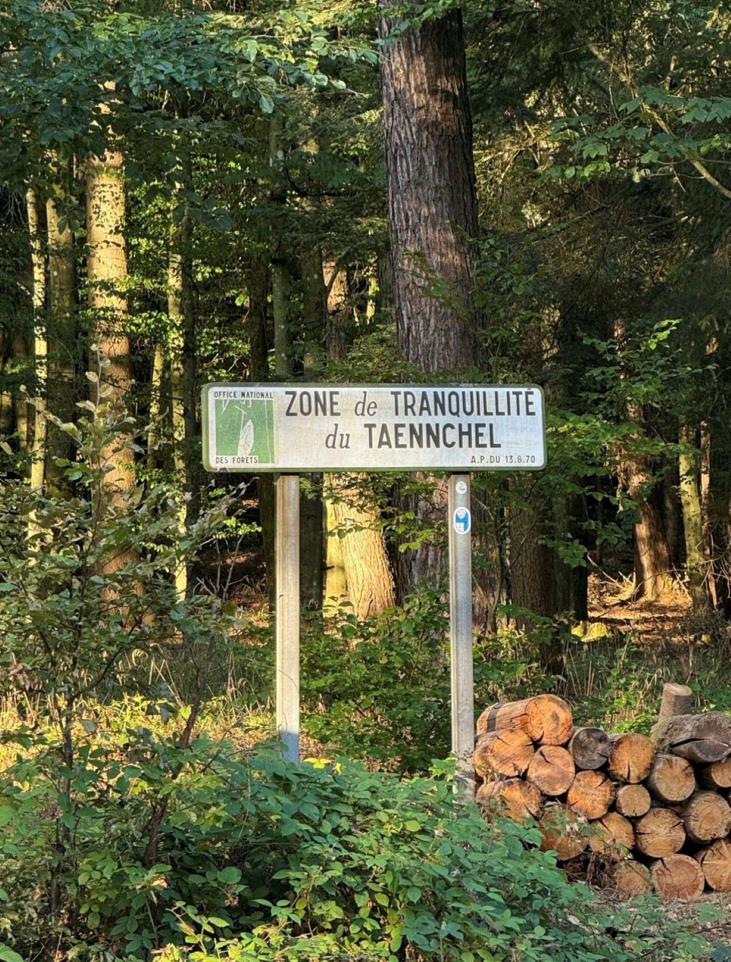 Photo circuit VTT