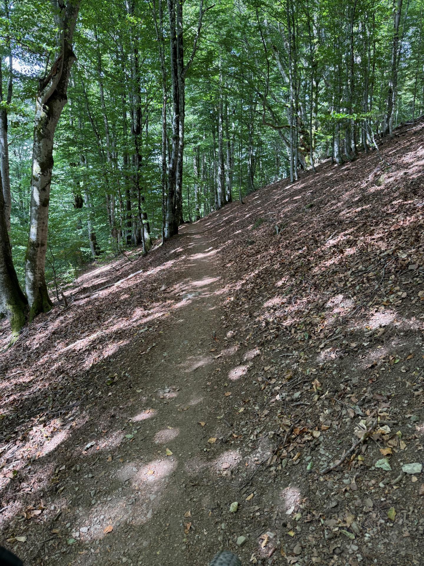 Photo circuit VTT