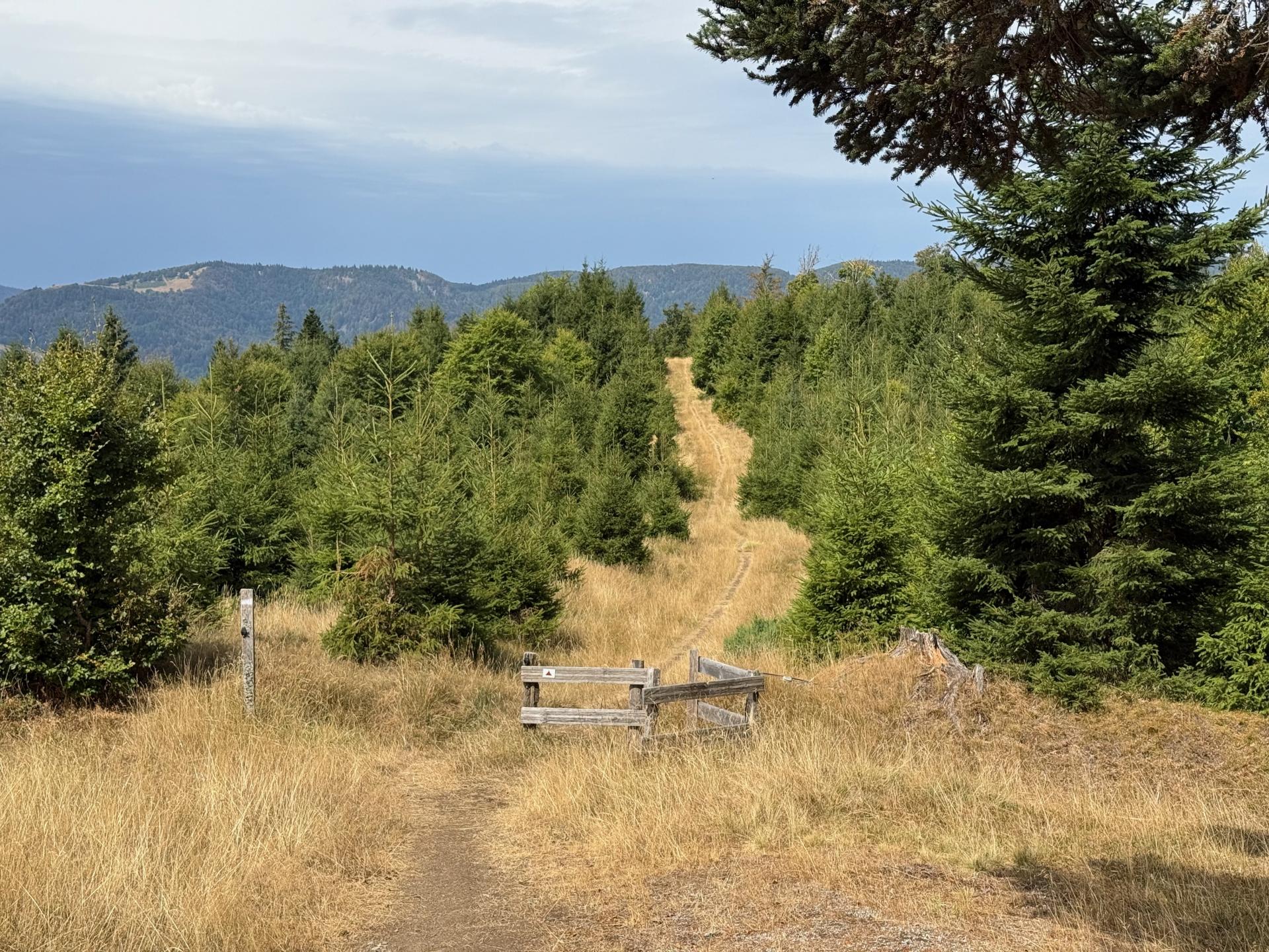 Photo circuit VTT