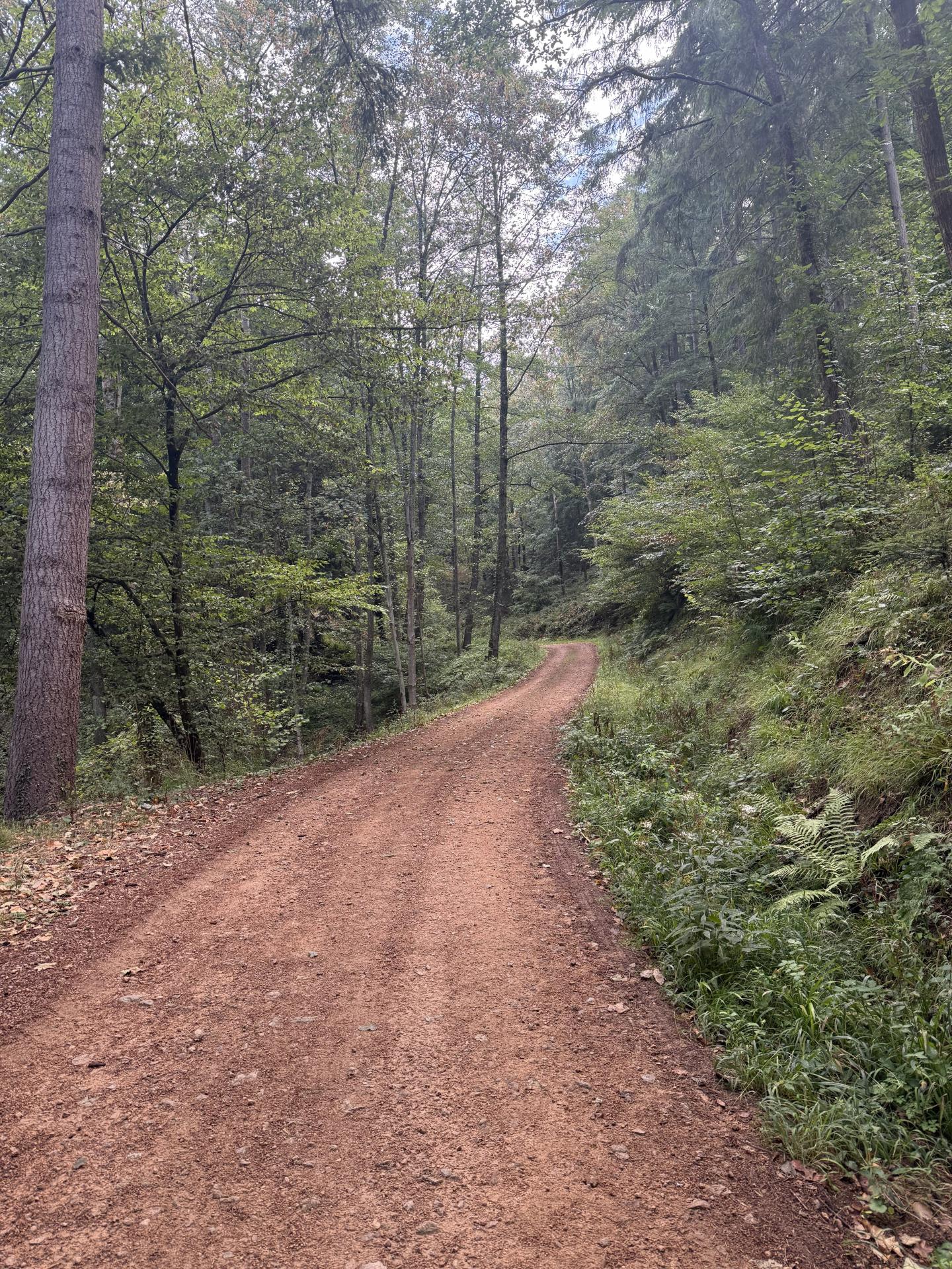 Photo circuit VTT