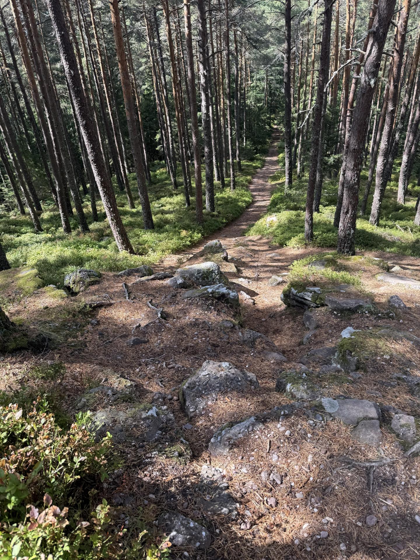 Photo circuit VTT
