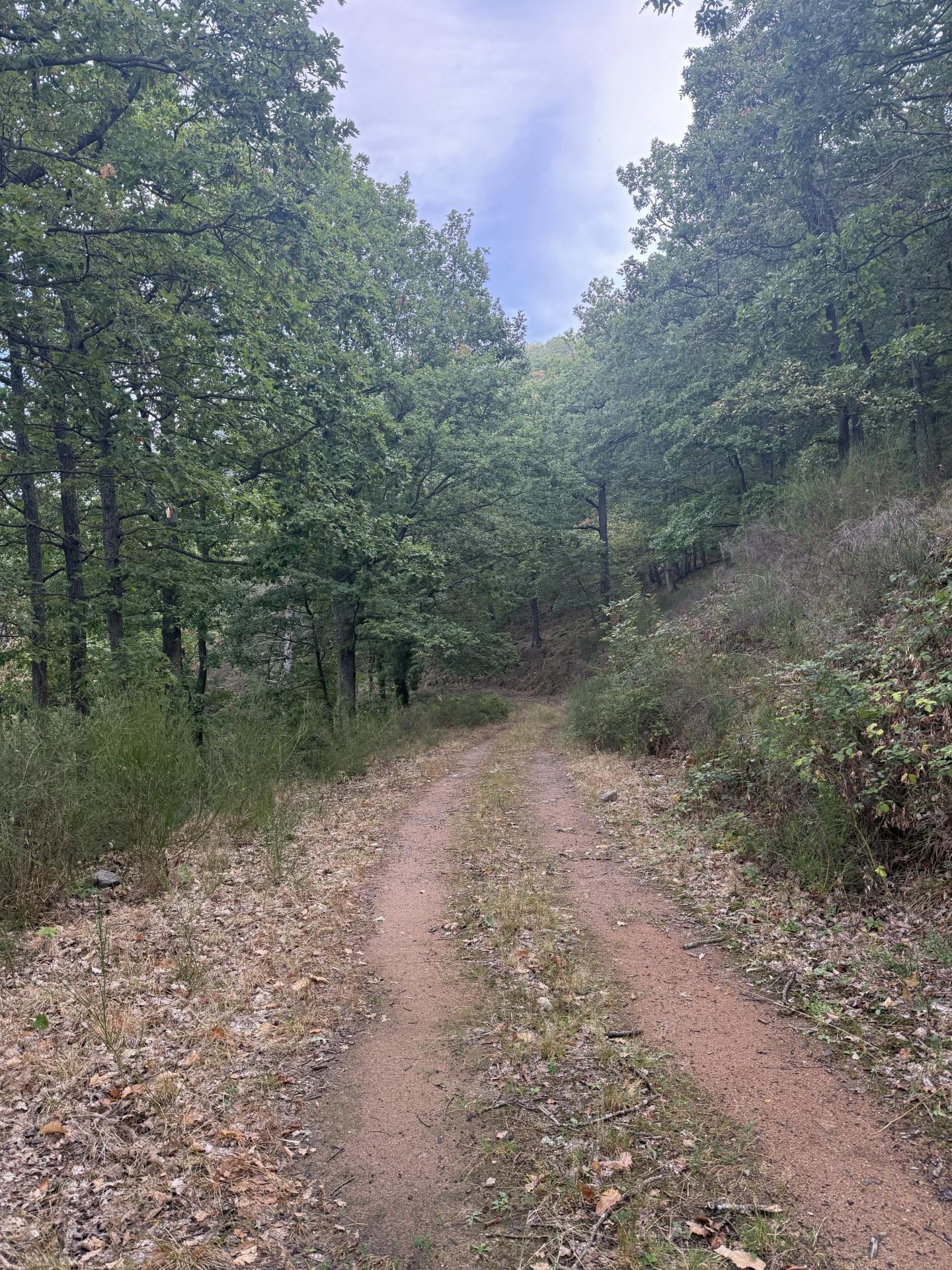 Photo circuit VTT