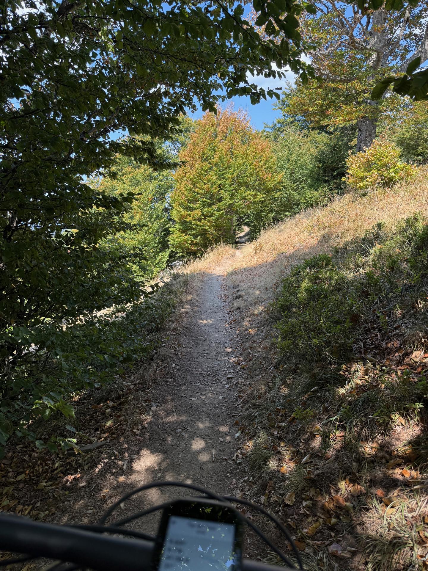 Photo circuit VTT