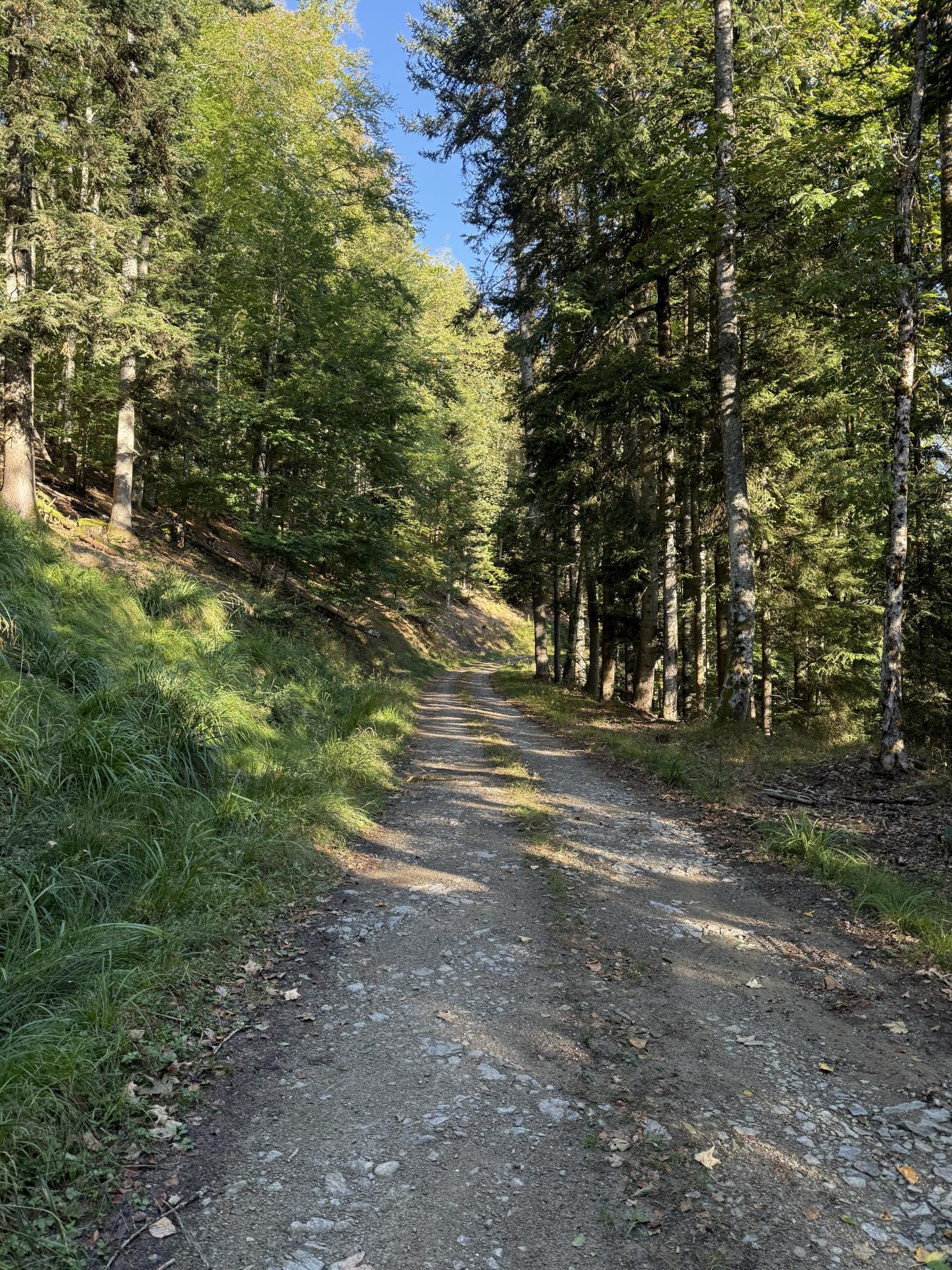 Photo circuit VTT