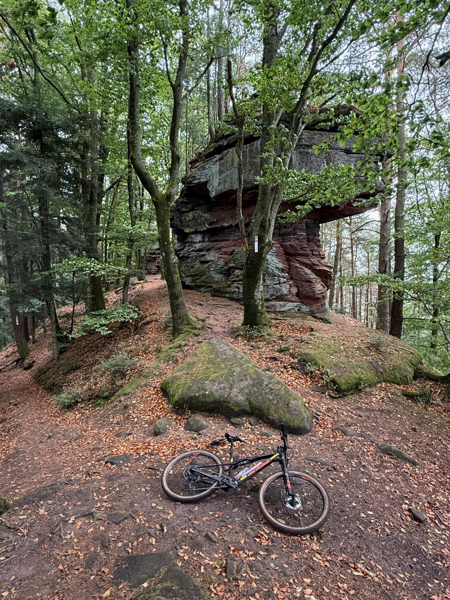 Photo circuit VTT
