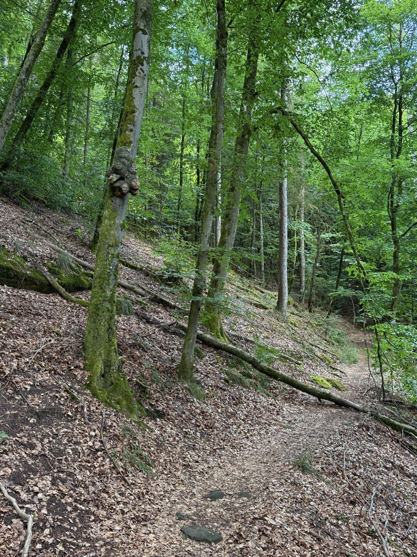 Photo circuit VTT