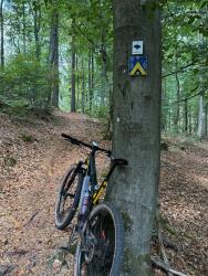 VTT-48133