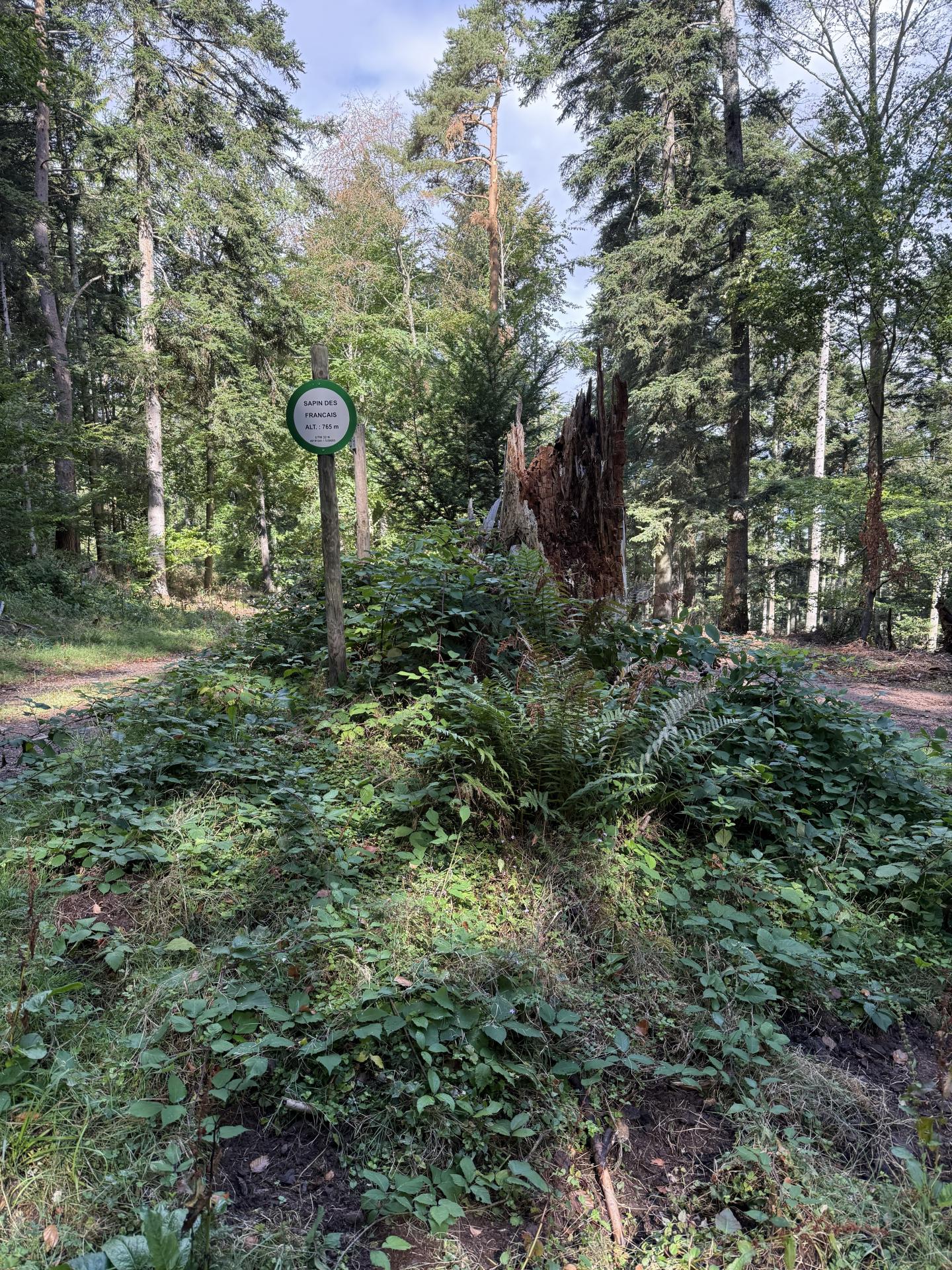 Photo circuit VTT