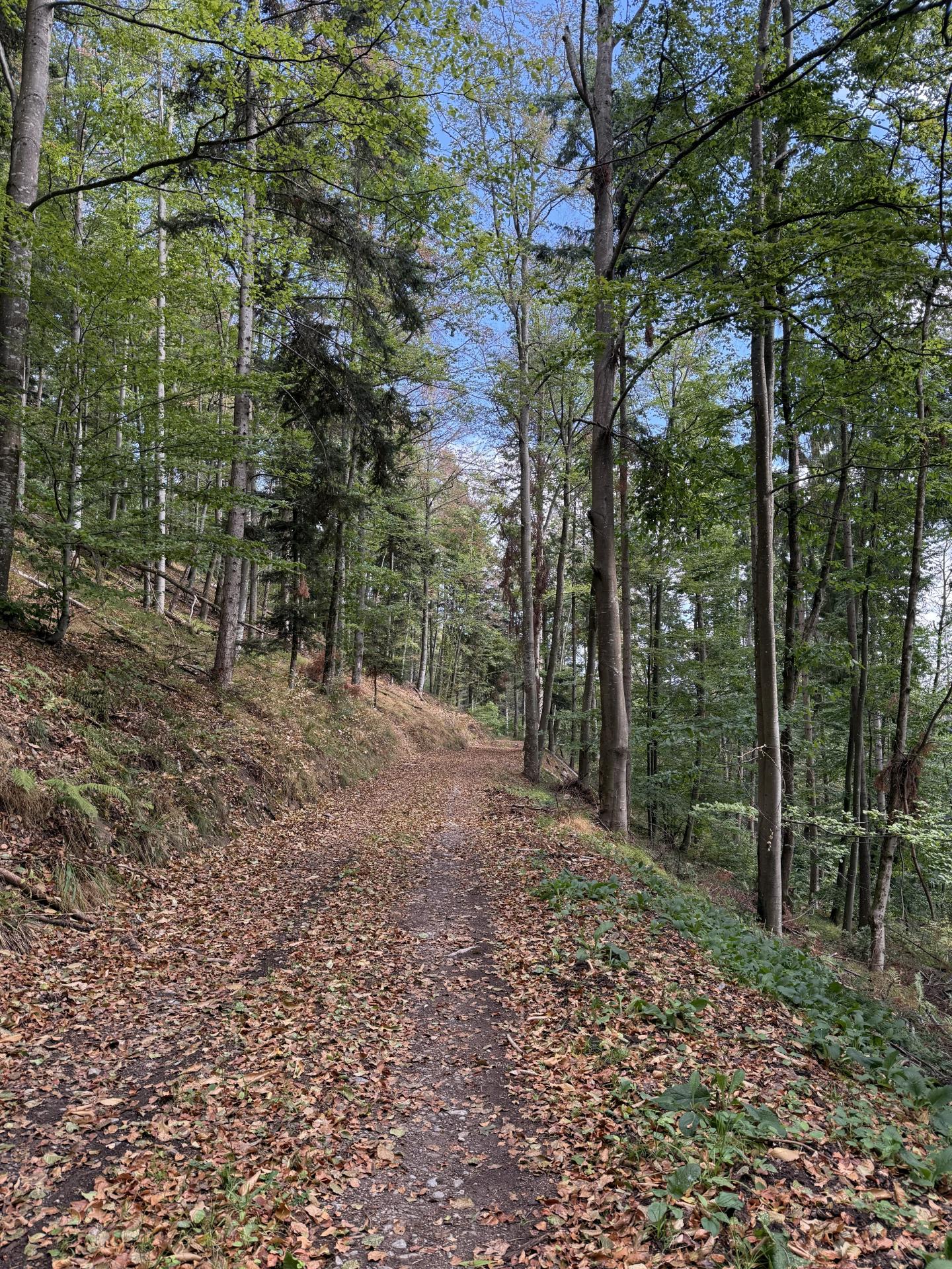 Photo circuit VTT