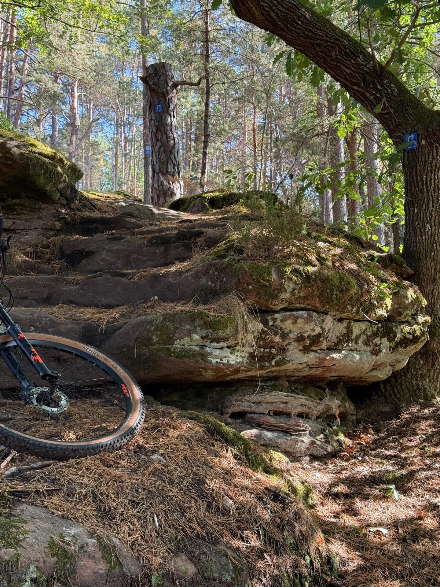 Photo circuit VTT