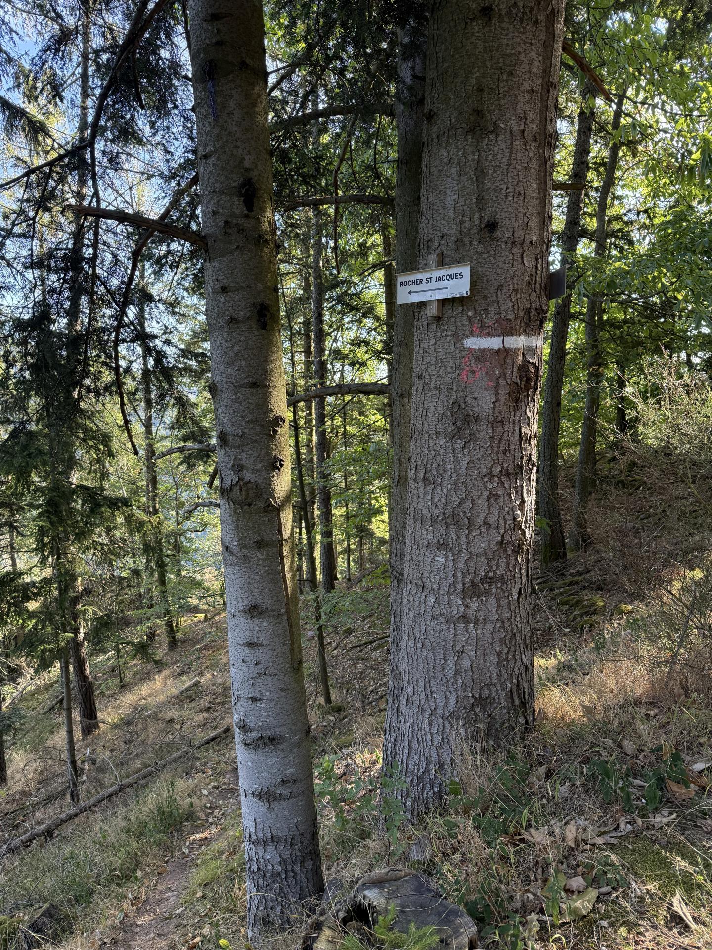 Photo circuit VTT