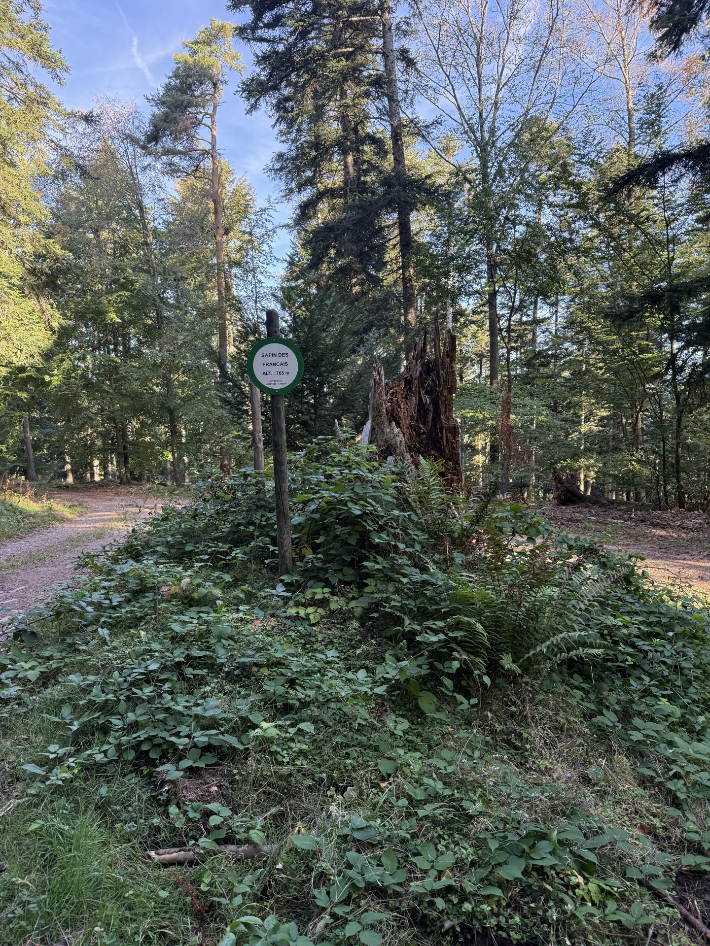 Photo circuit VTT