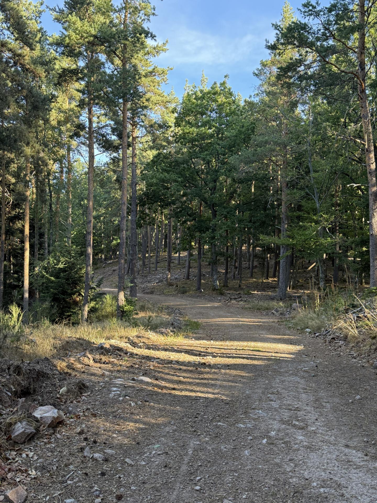 Photo circuit VTT