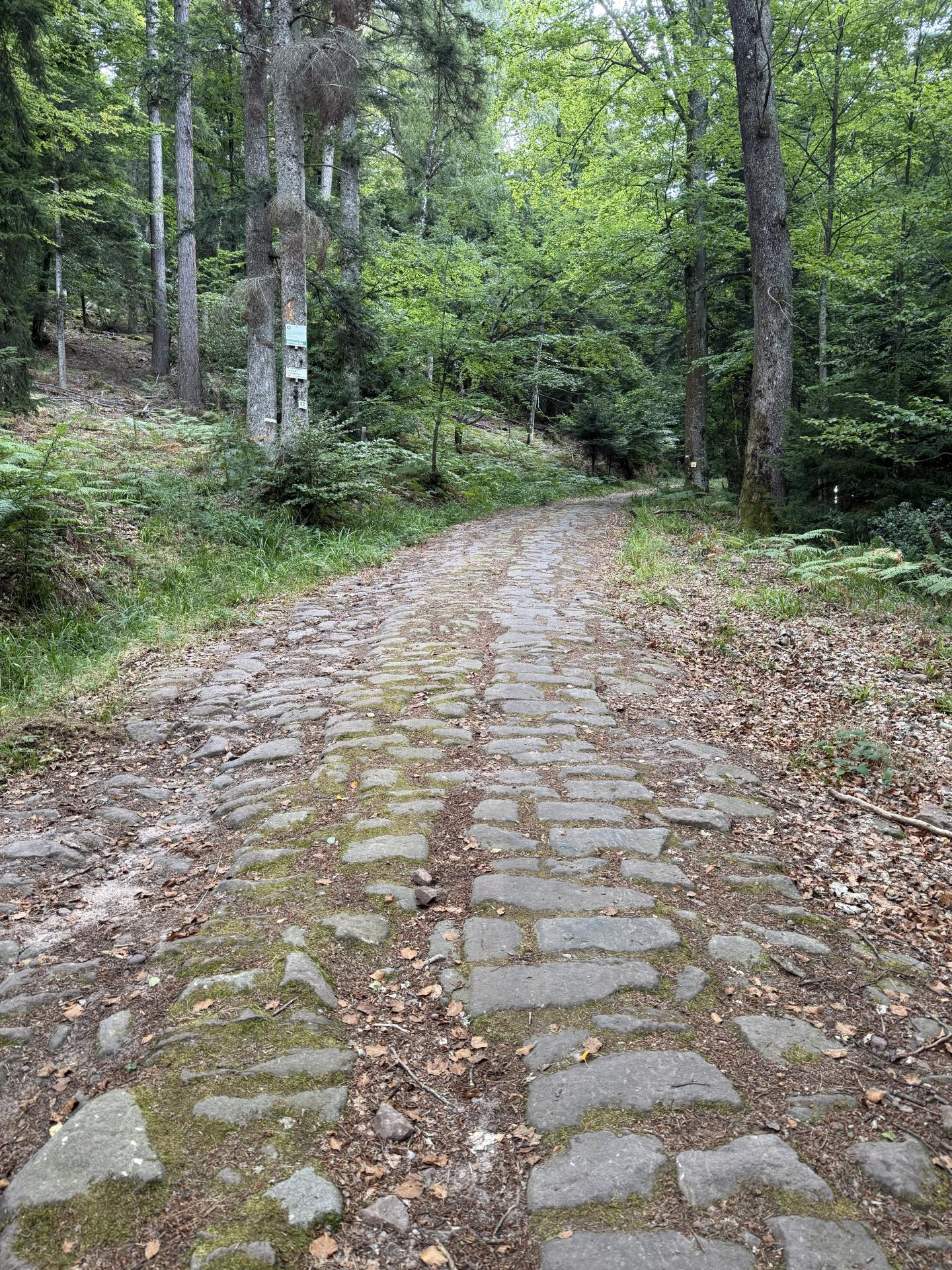 Photo circuit VTT