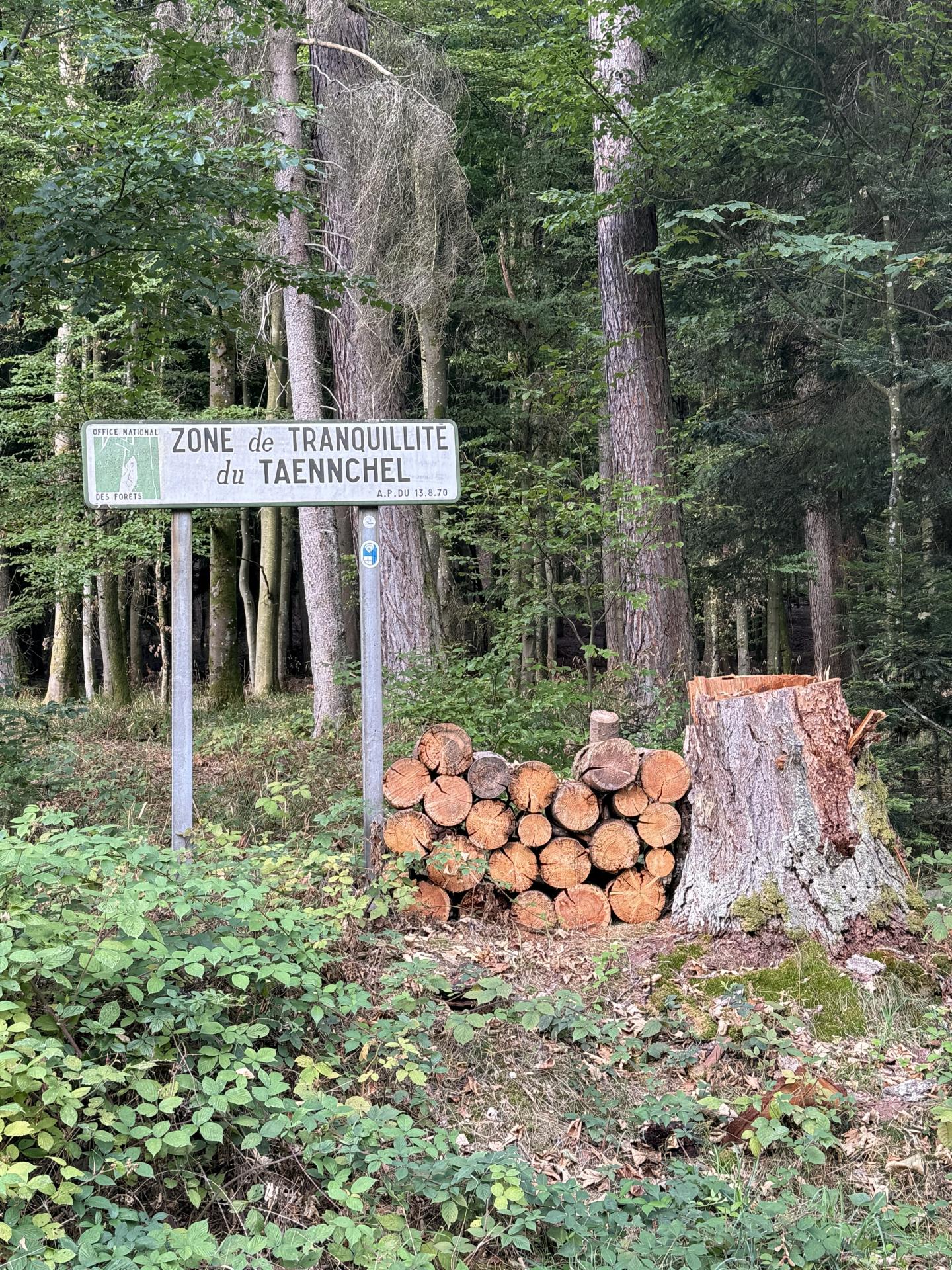 Photo circuit VTT