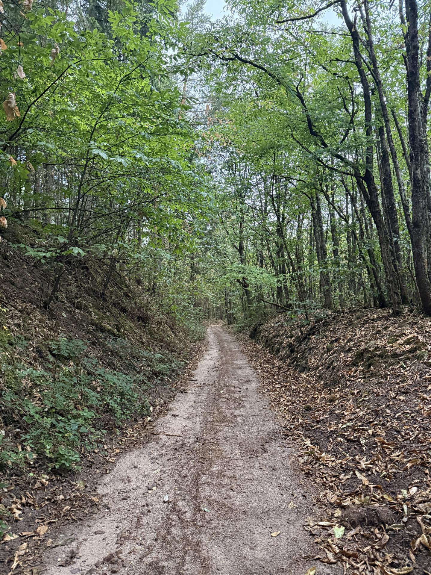 Photo circuit VTT