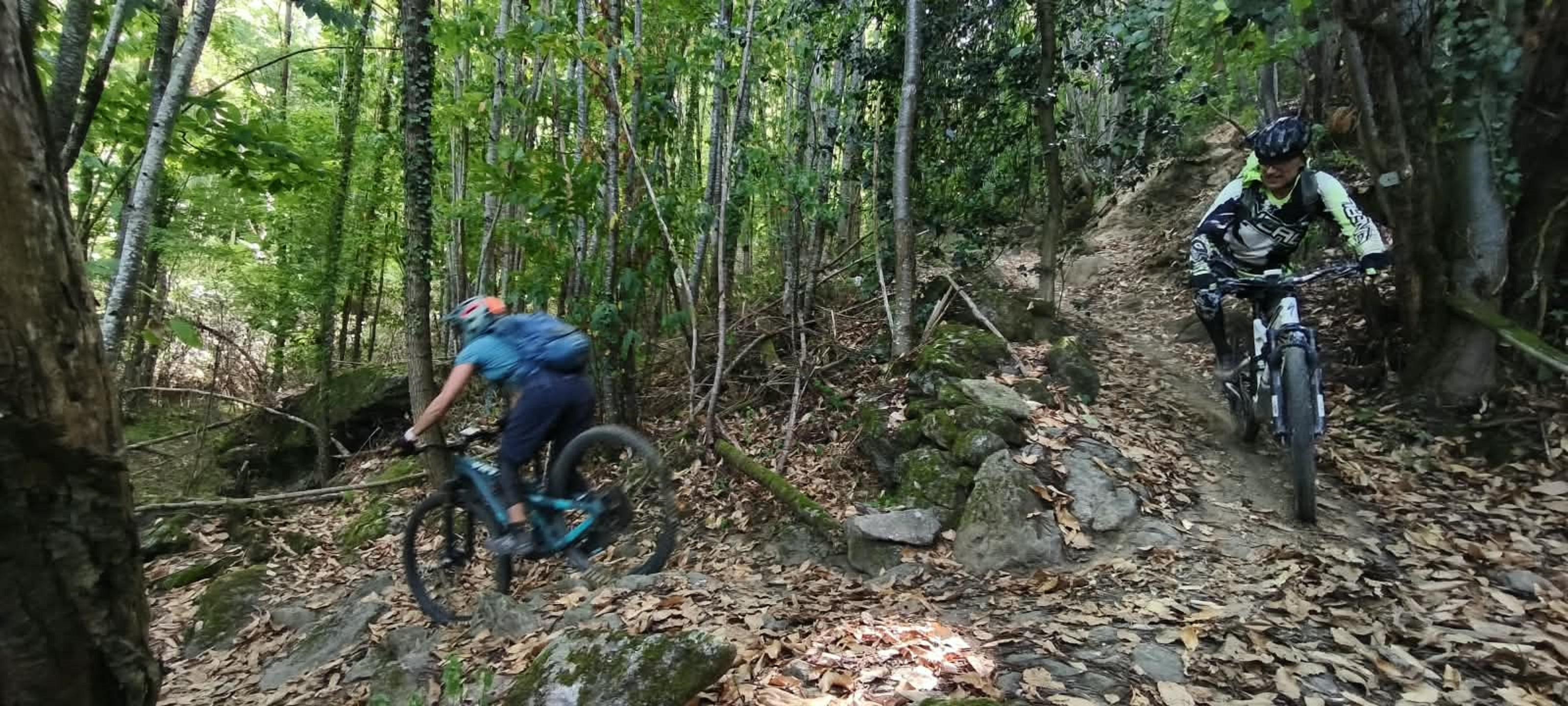Photo circuit VTT