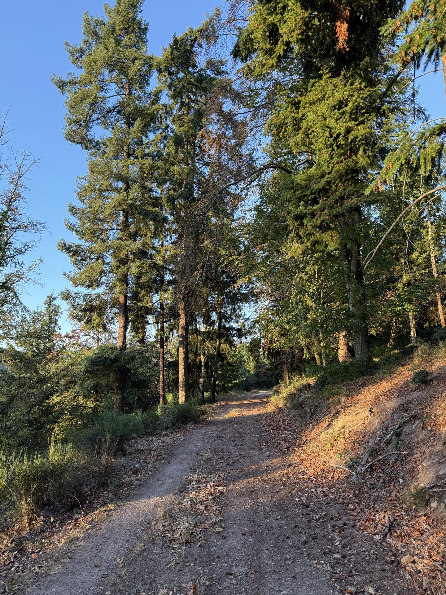 Photo circuit VTT