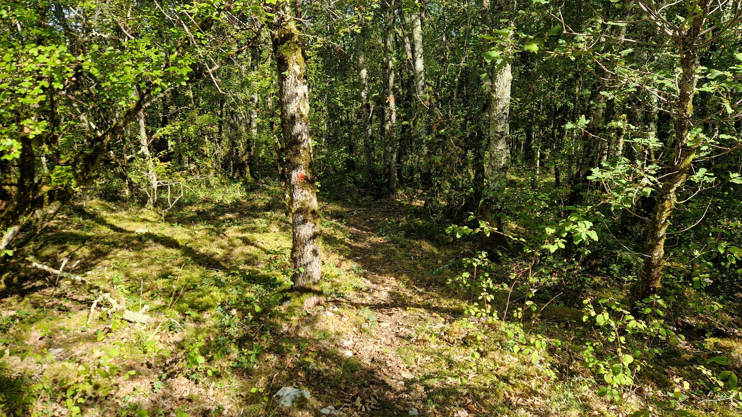 Photo circuit VTT