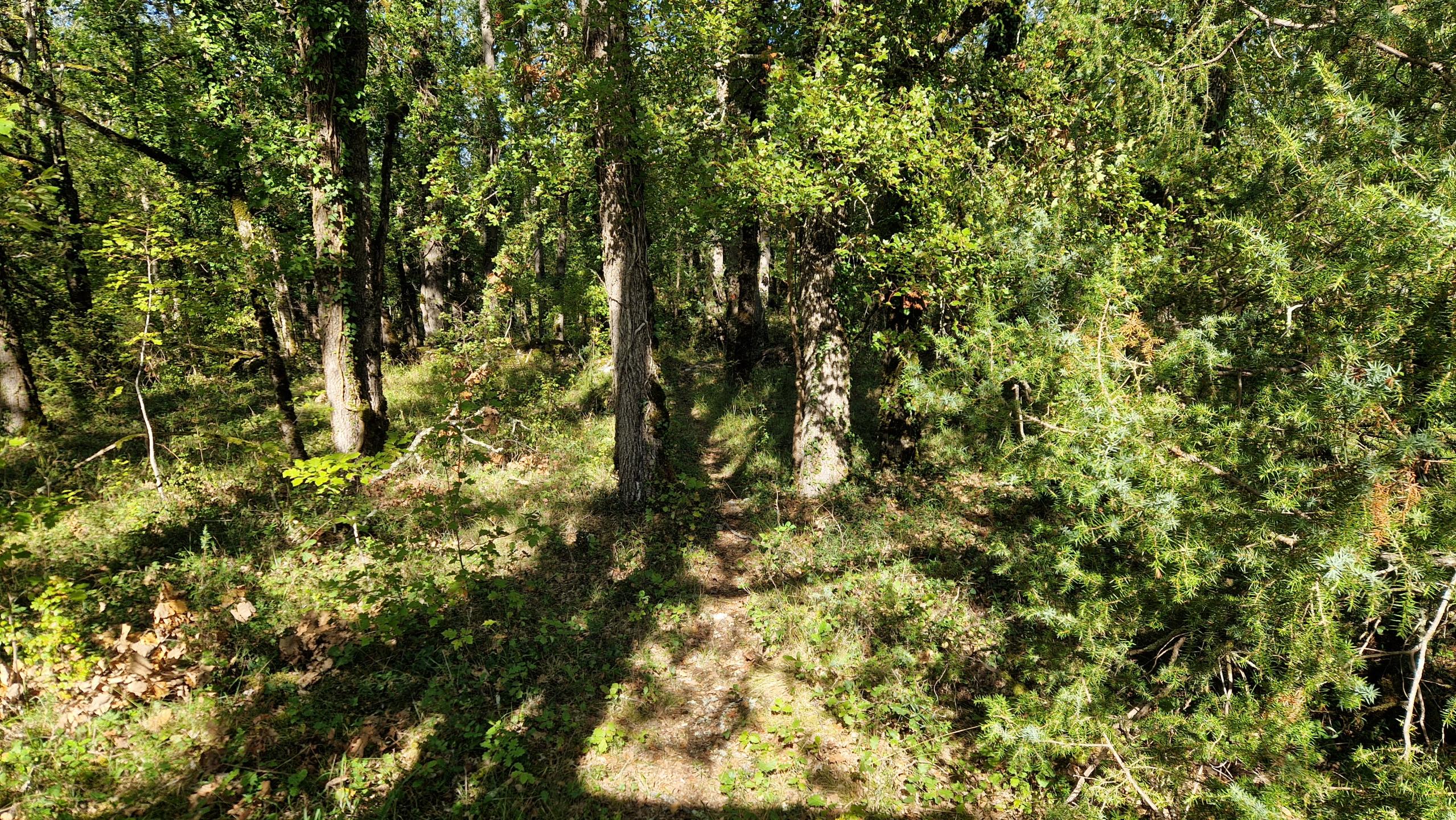 Photo circuit VTT