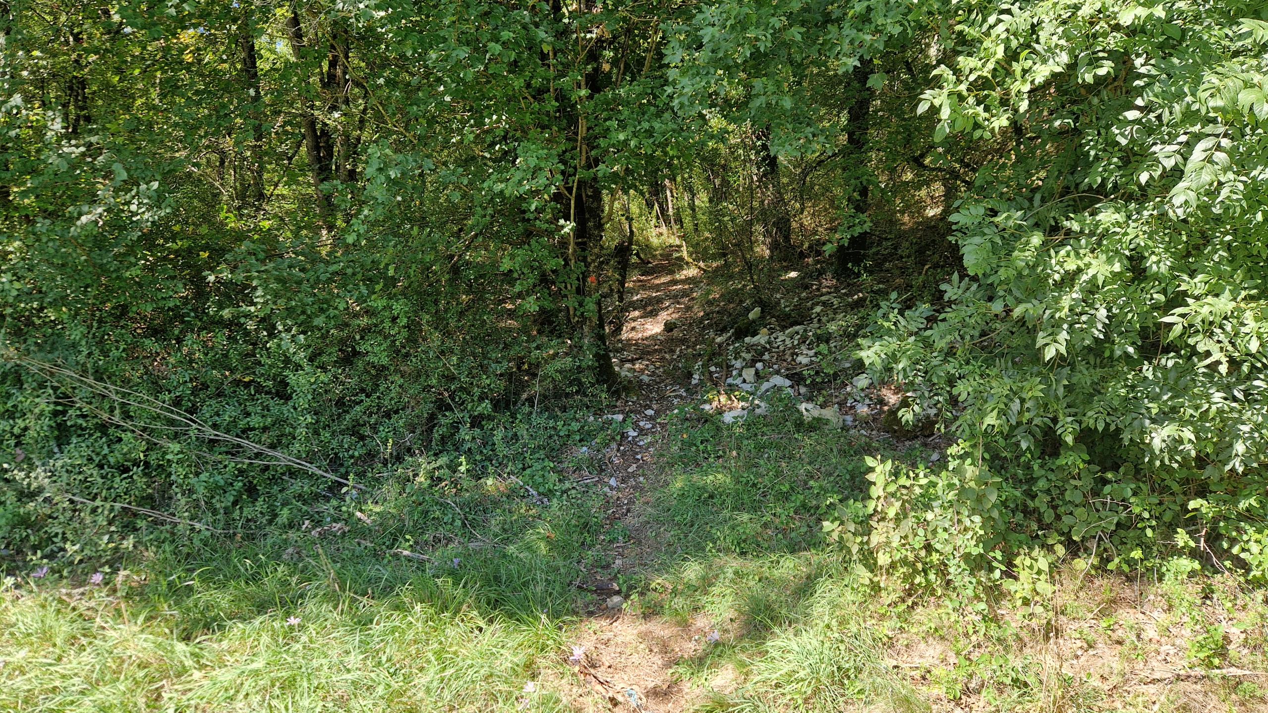 Photo circuit VTT