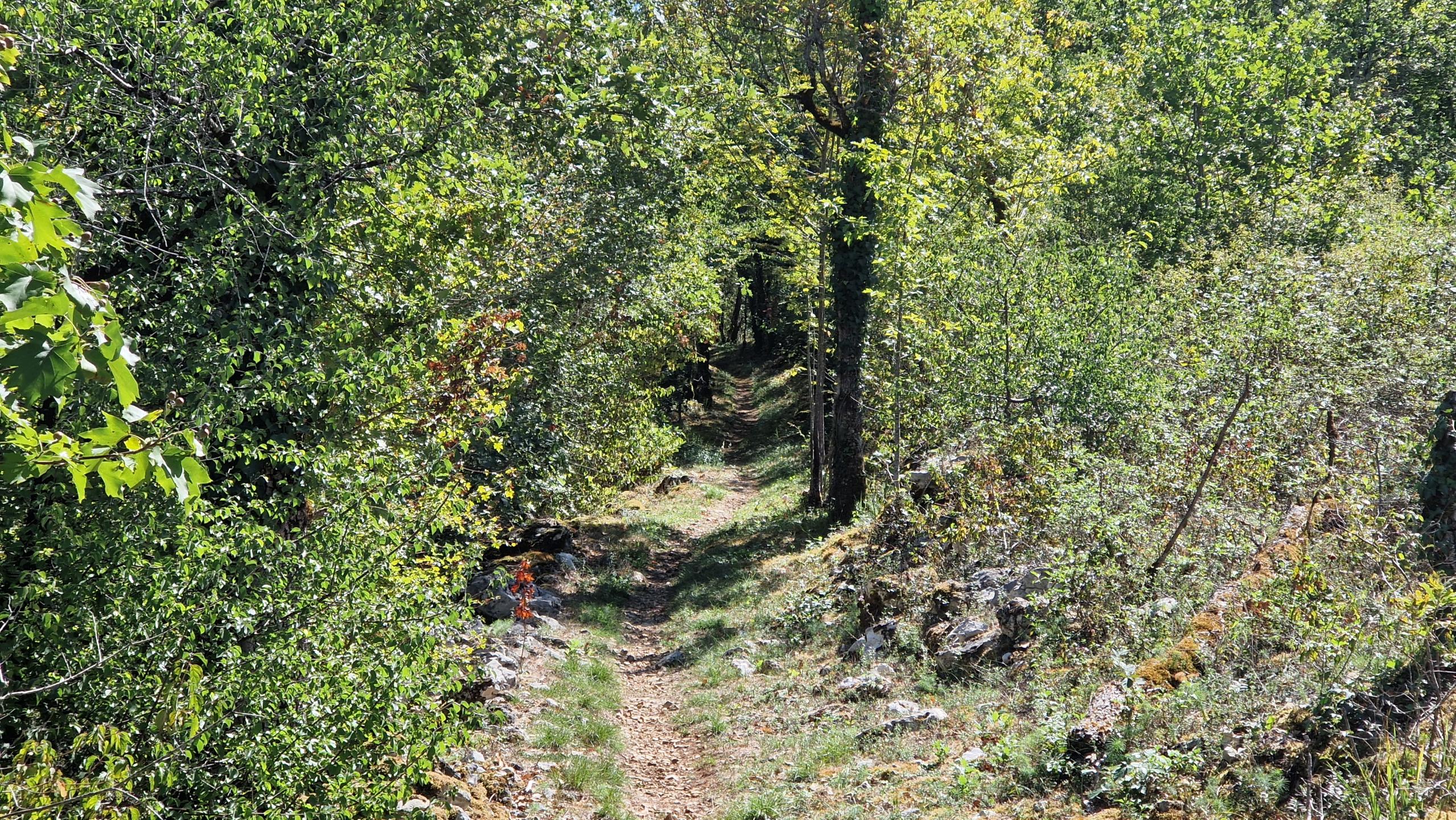 Photo circuit VTT