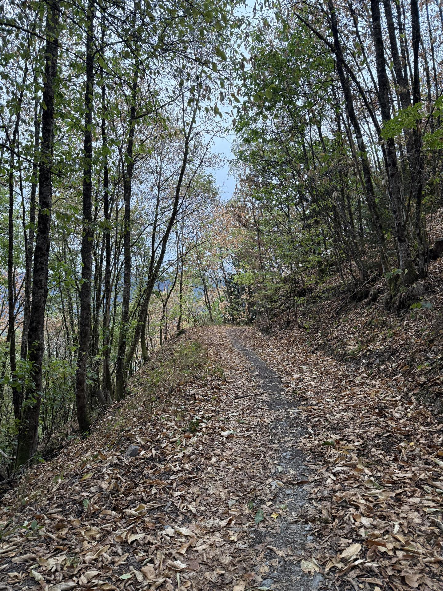 Photo circuit VTT