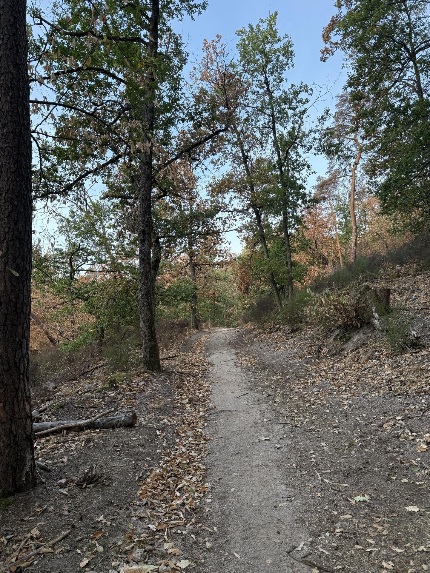 Photo circuit VTT