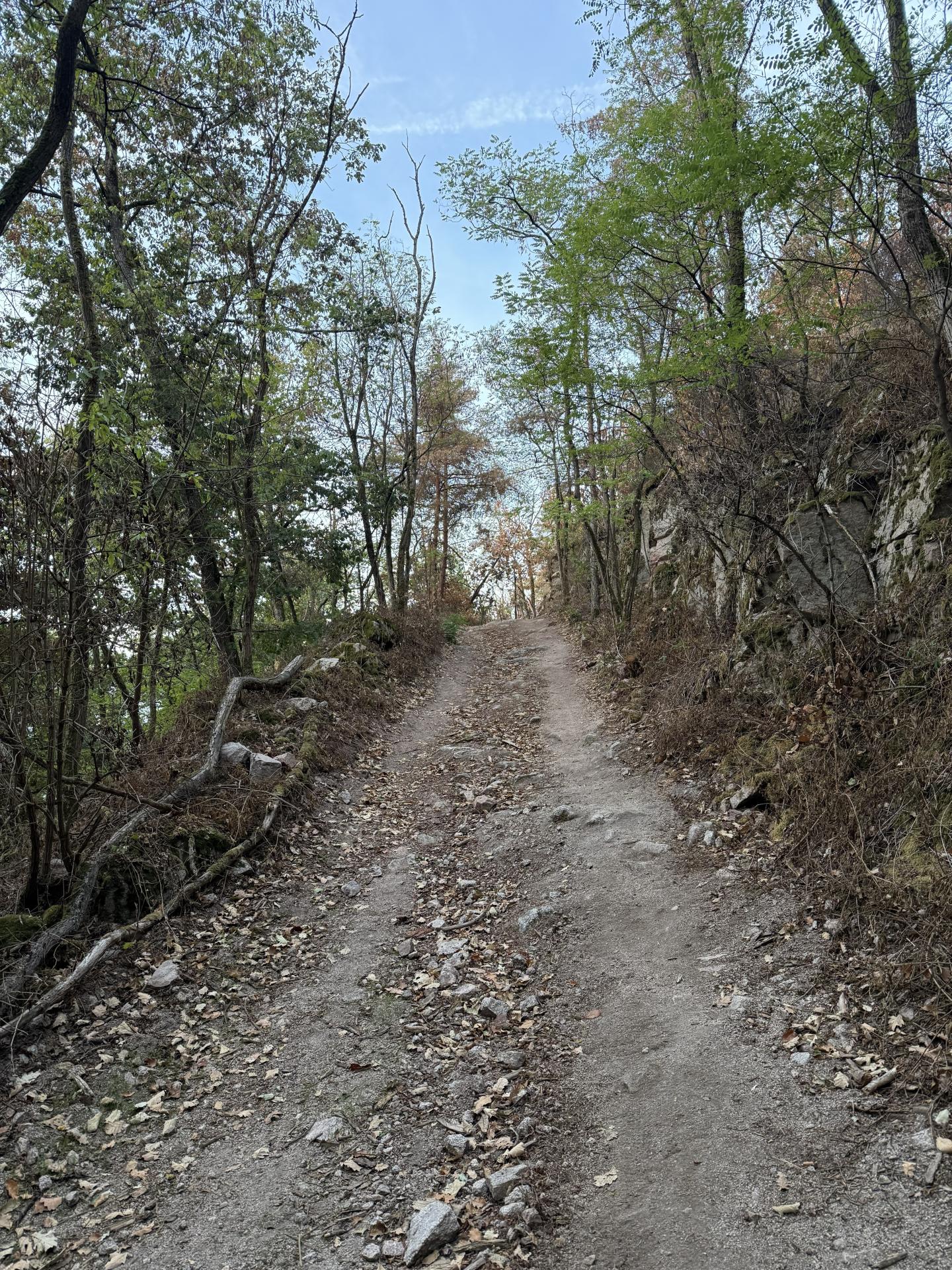 Photo circuit VTT