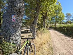 Piste roulante vers Chassenay