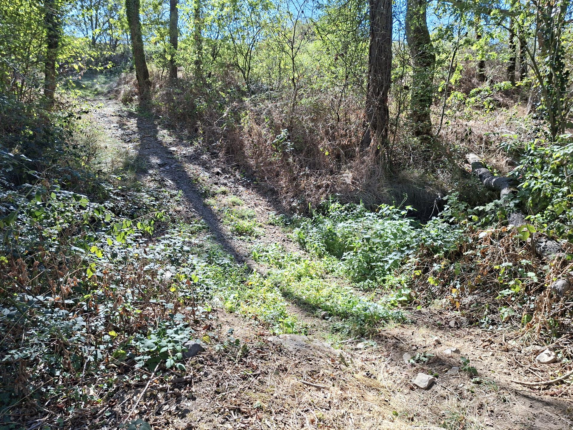 Photo circuit VTT