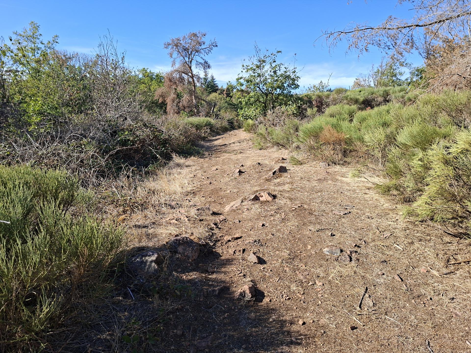 Photo circuit VTT