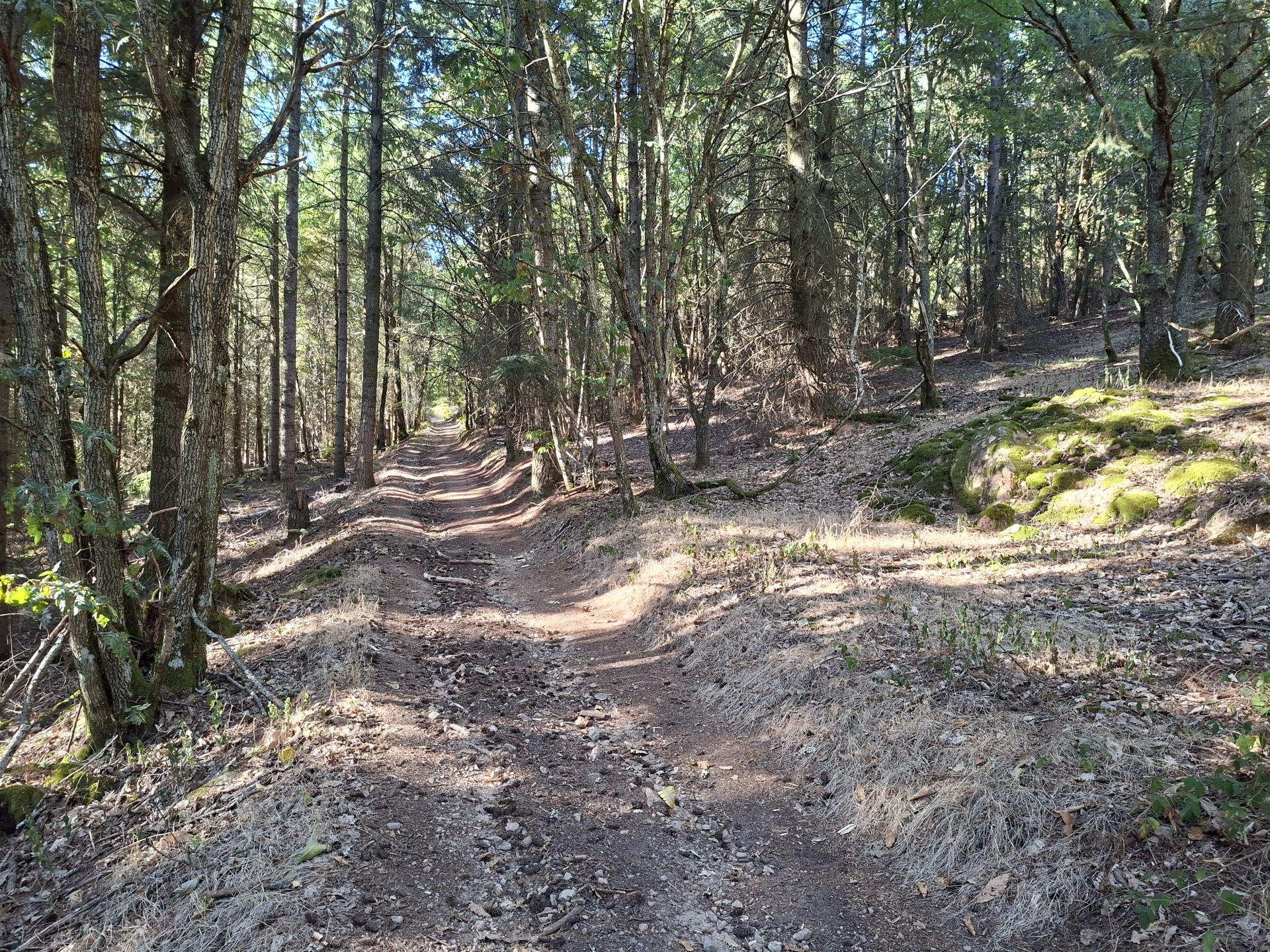 Photo circuit VTT