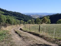 Paysage