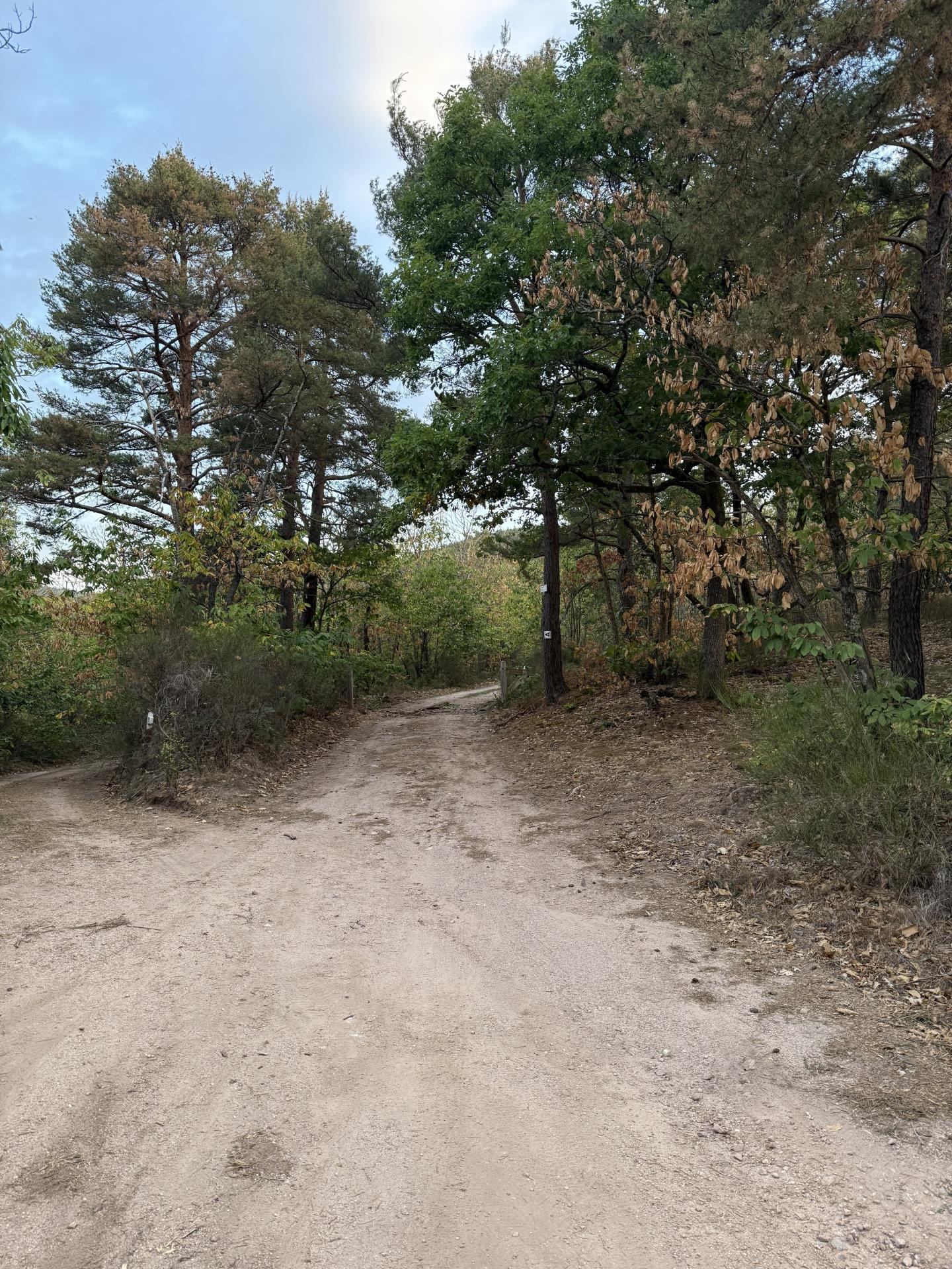 Photo circuit VTT