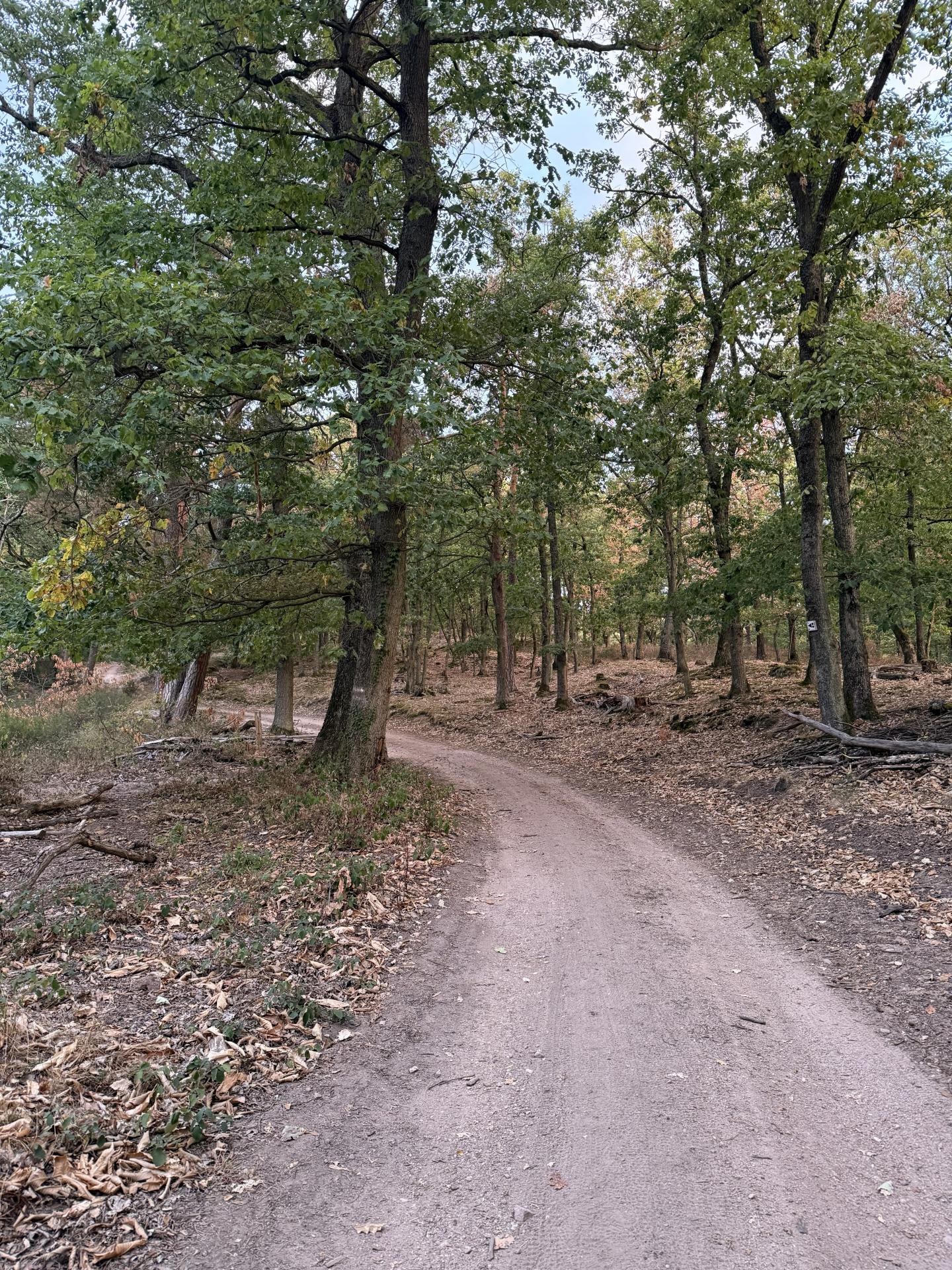 Photo circuit VTT