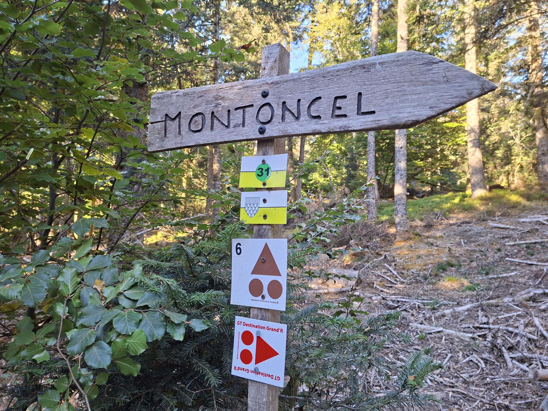 Photo circuit VTT