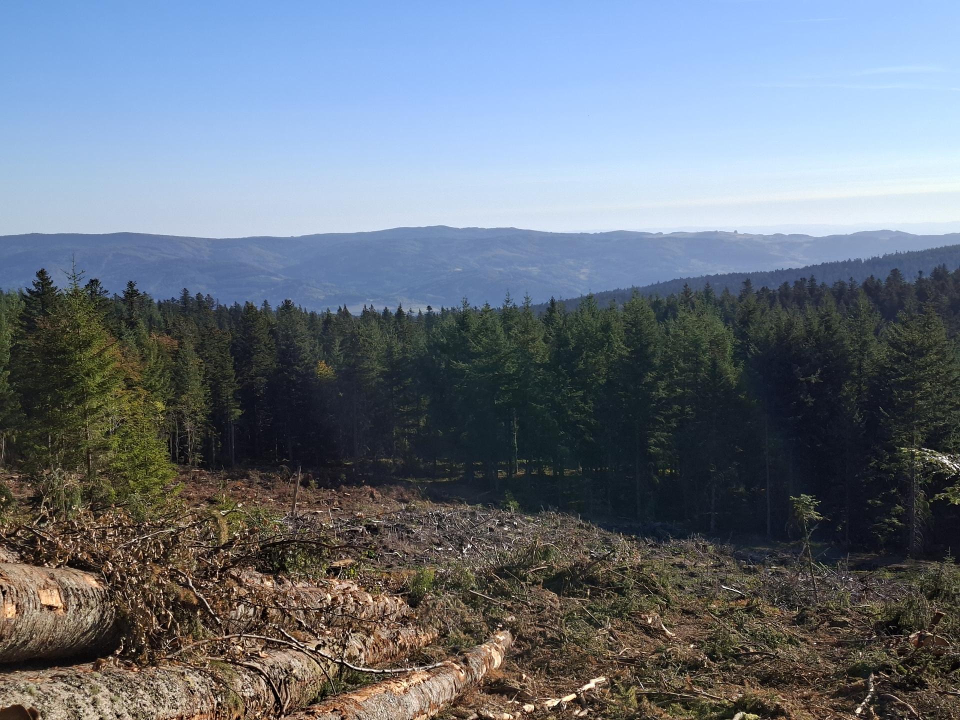 Photo circuit VTT