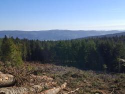 Paysage