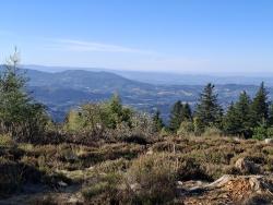 Sommet du Puy de Montoncel 1287 m