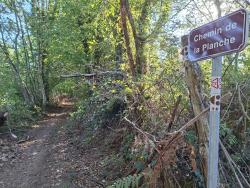Joli chemin de la Planche