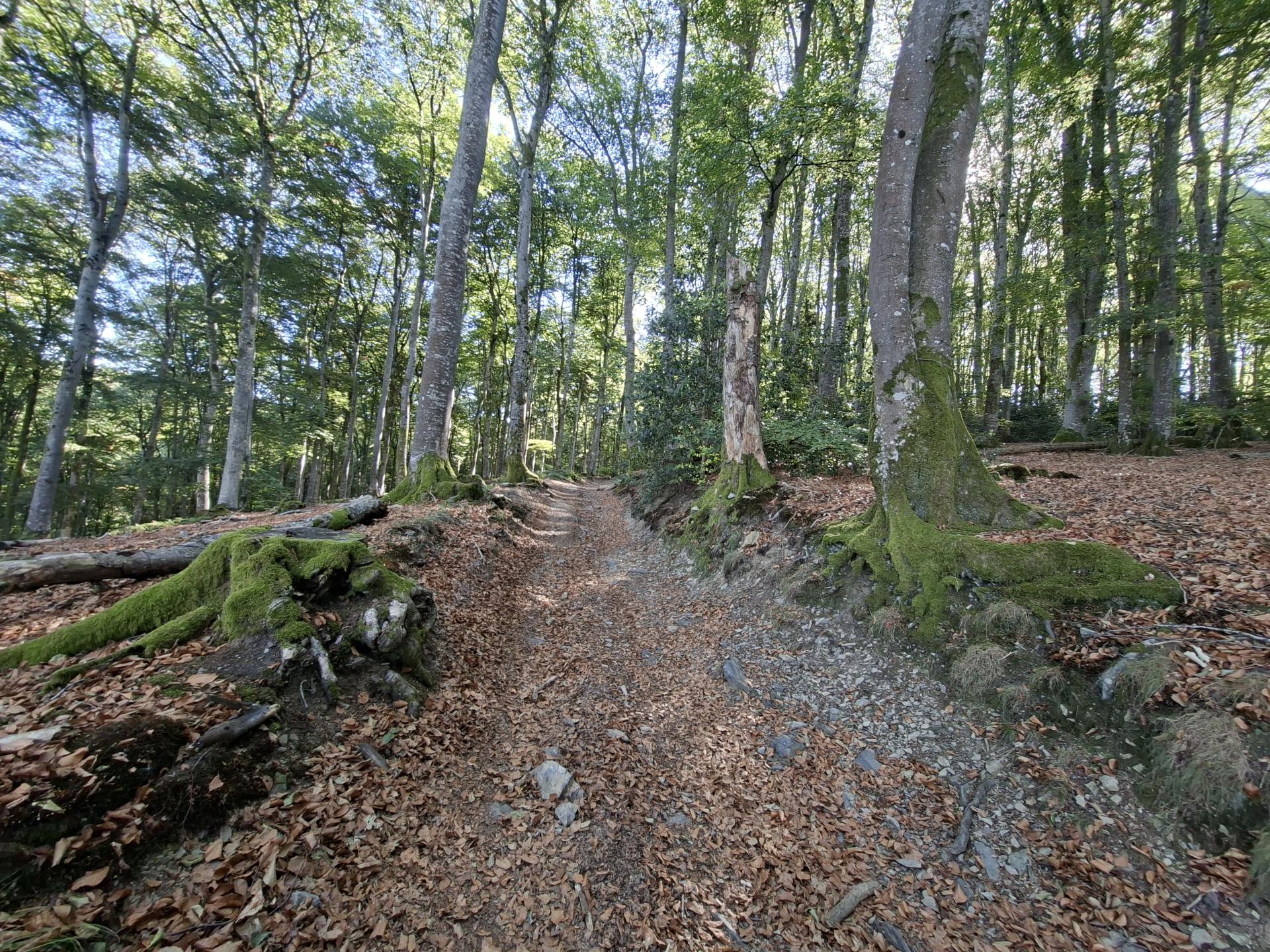 Photo circuit VTT