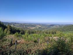 Paysage