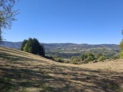 Paysage