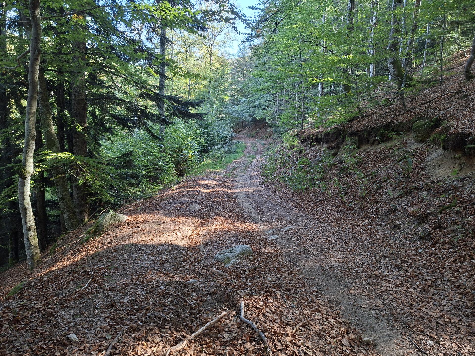 Photo circuit VTT