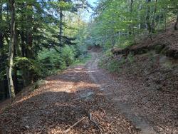 Joli chemin qui plonge dans la vallée du Sapey