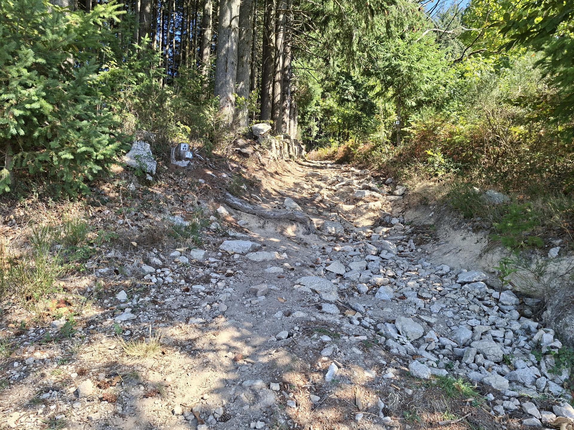 Photo circuit VTT