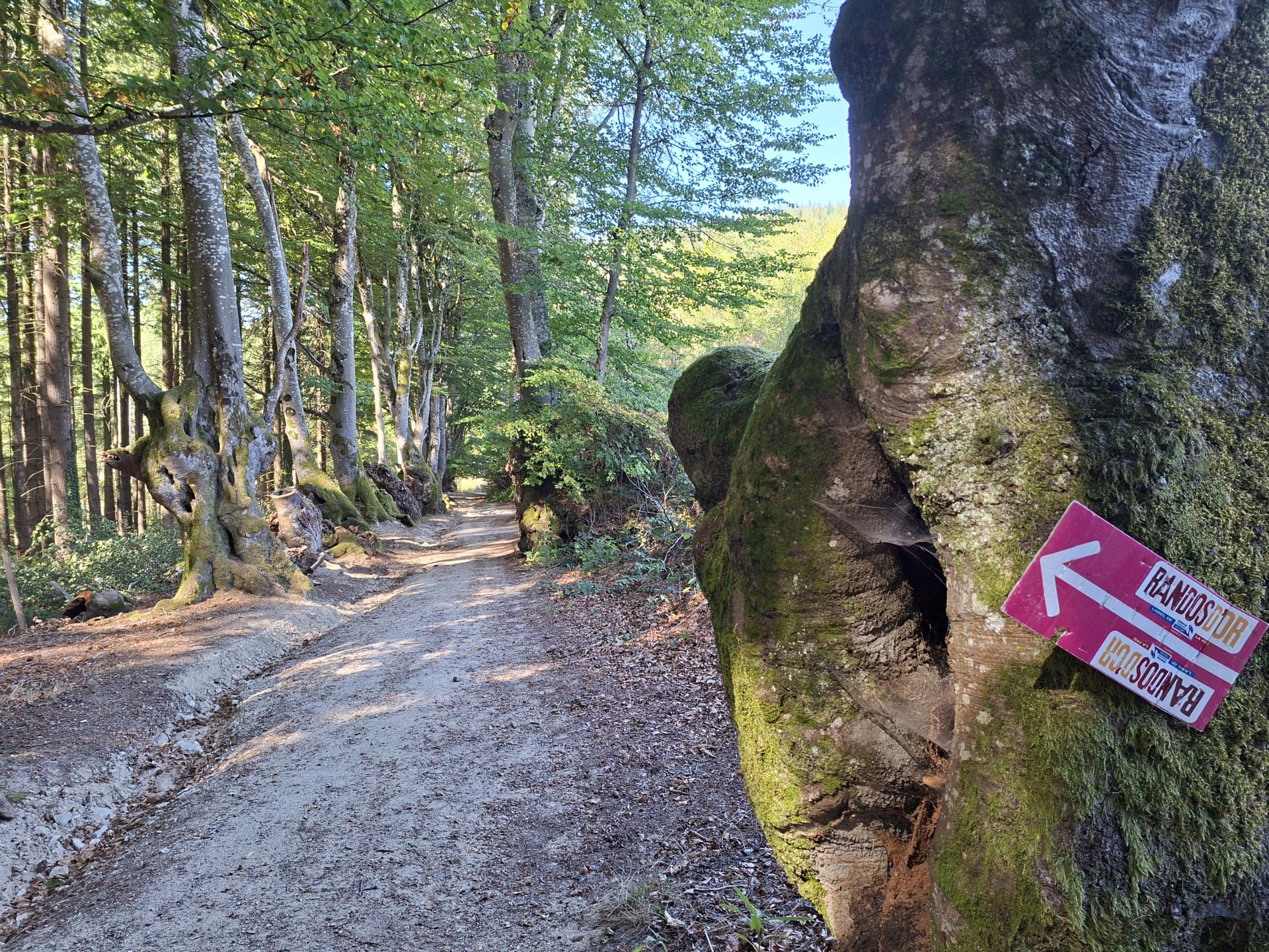 Photo circuit VTT