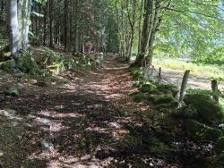 Vieux chemin sympa
