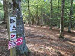 Sur le GR 3A